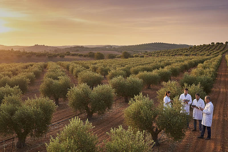 Resultados Destacados